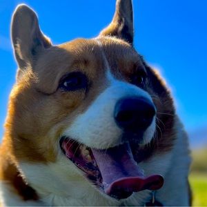 Meet your Posher, Alexandra